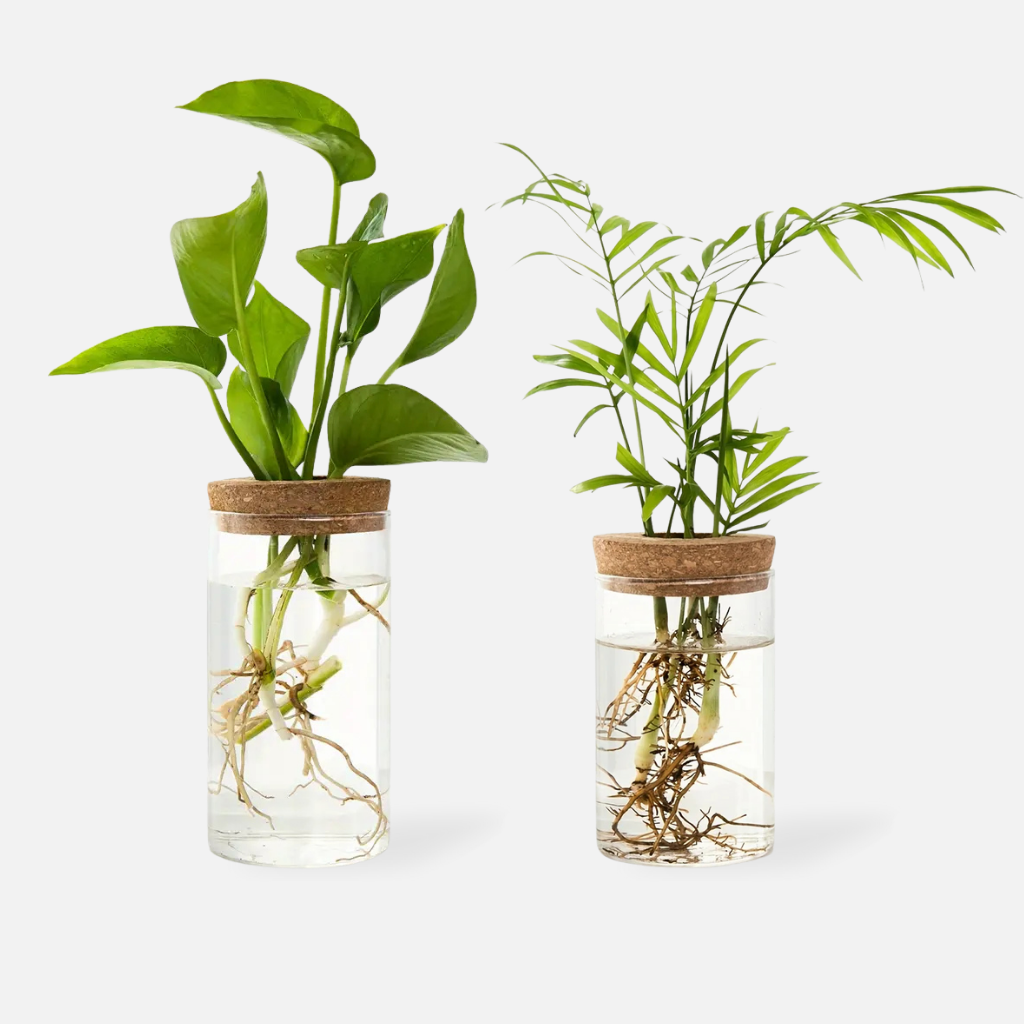 Glacira glass and wood vase – modern decorative flower vase